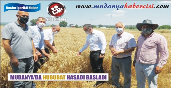 MUDANYA'DA HUBUBAT HASADI BALADI